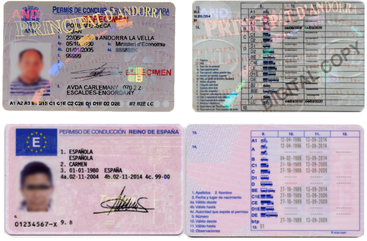 कातालान में ड्राइविंग लाइसेंस