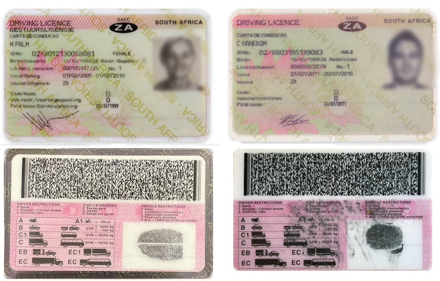 Driver's licenses in Afrikaans
