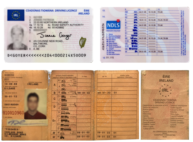Driver's licenses in Irish