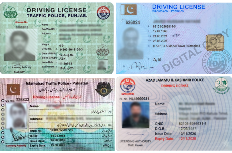 Driver's licenses in Punjabi